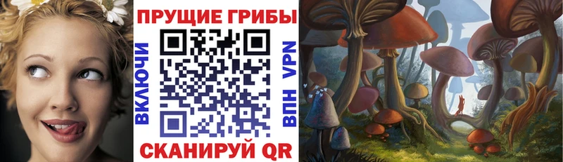 Галлюциногенные грибы Psilocybine cubensis  MEGA   Серпухов 