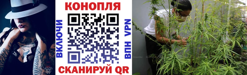Конопля Bruce Banner  Серпухов 